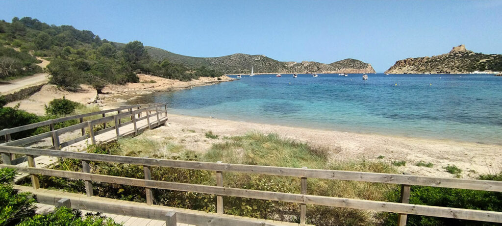 Beautiful view of Cabrera Island's sandy beach, showcasing turquoise waters gently washing onto a pristine shoreline framed by lush greenery and scattered rocks under a bright, sunny sky.