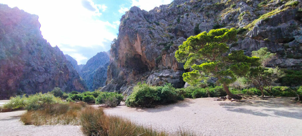 Panoramic view of Sa Cabrera River Valley at noon, showcasing lush greenery, meandering river, and majestic mountains under a clear blue sky, illustrating the serene and picturesque landscape of the region.